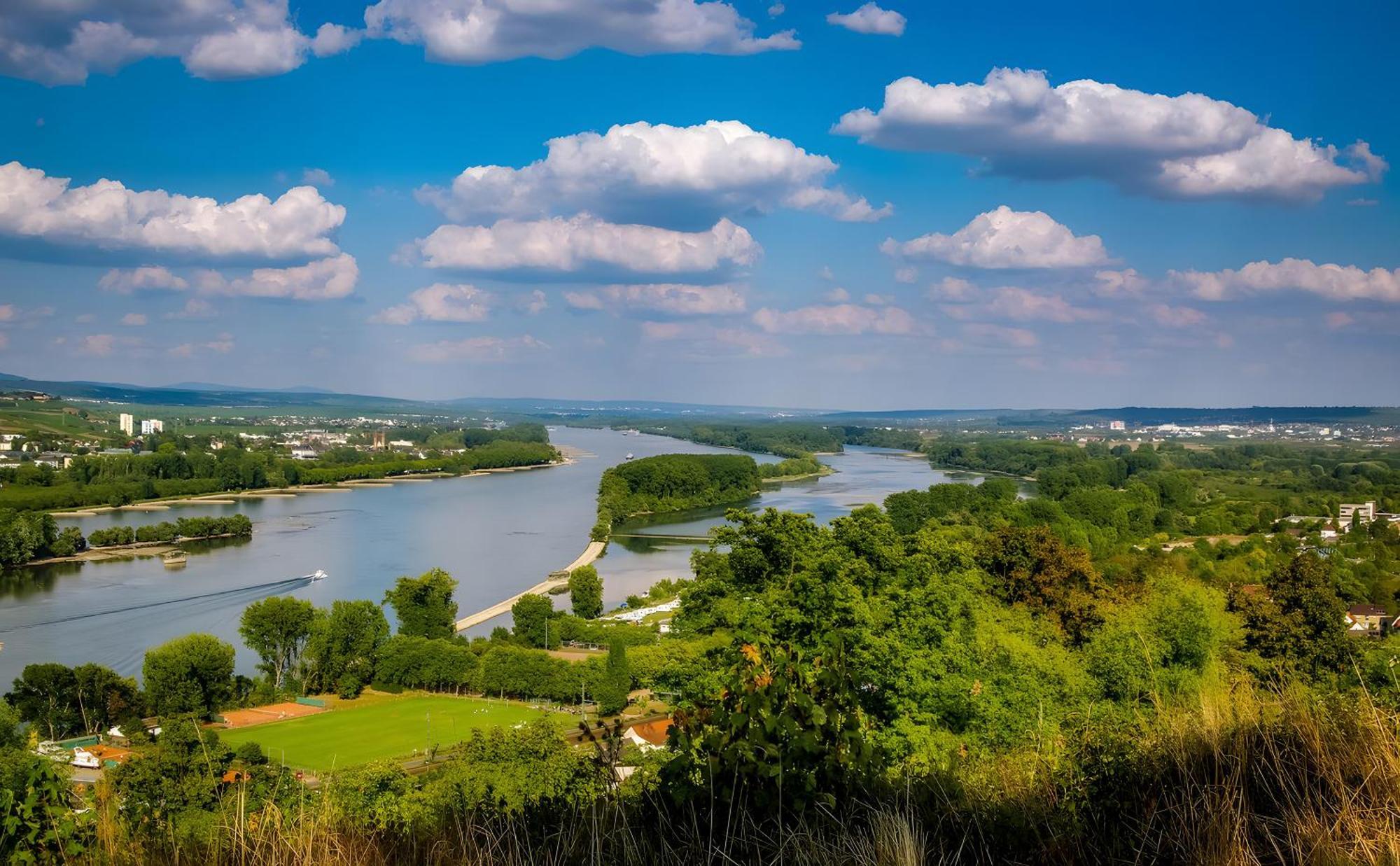 Weingut Michael Grünewald&söhne * Bingen am Rhein